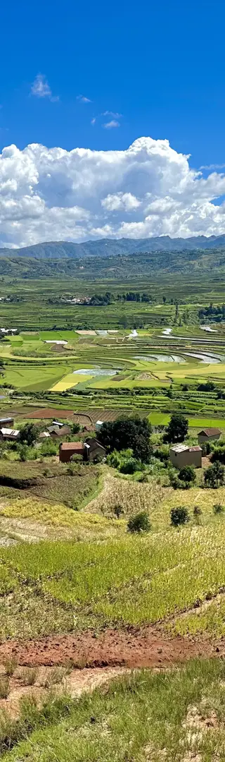 Reisterrassen im zentralen Hochland